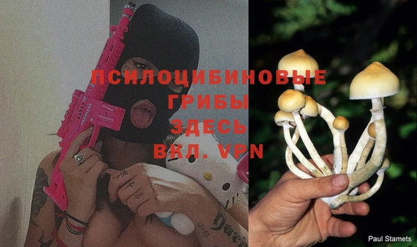 дмт Верея