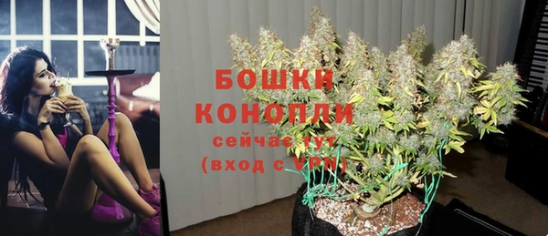 шишки Вязники