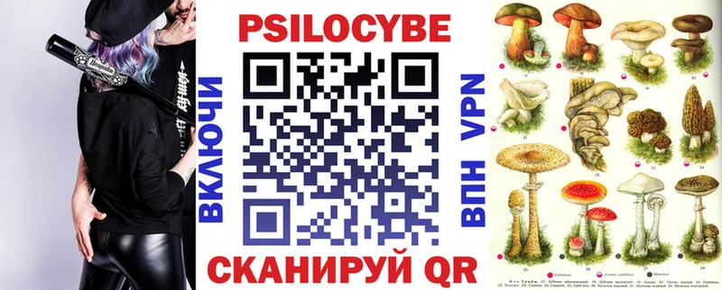 Галлюциногенные грибы Psilocybine cubensis  Купить закладки  Сасово 